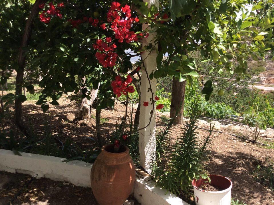La Villa Di Zazopetra Menetaí エクステリア 写真