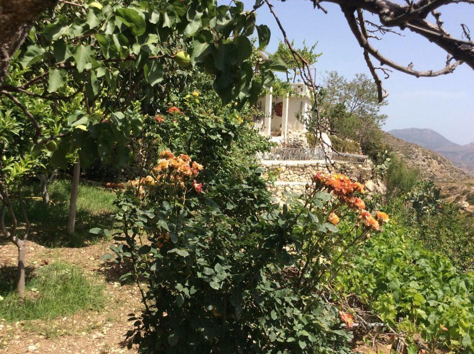 La Villa Di Zazopetra Menetaí エクステリア 写真