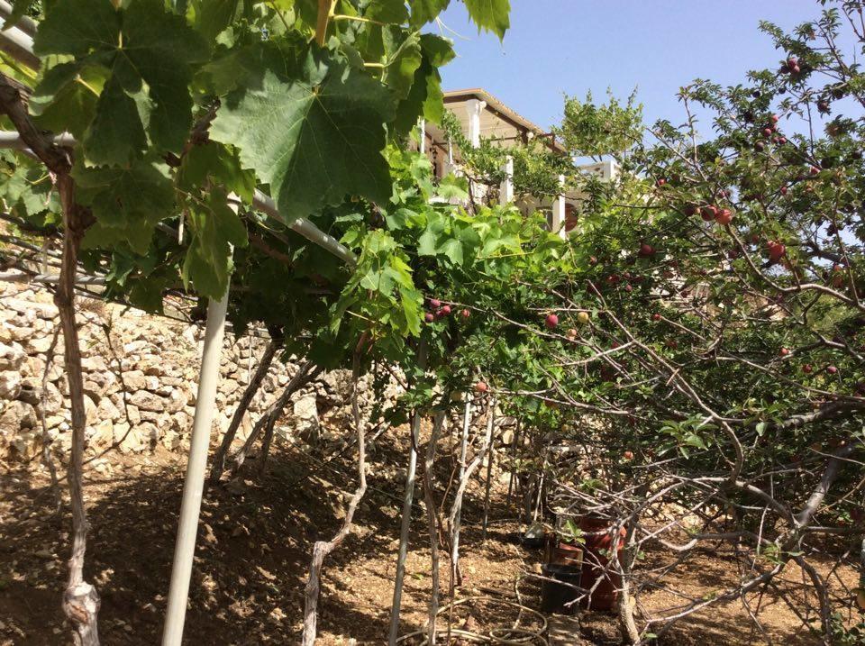 La Villa Di Zazopetra Menetaí エクステリア 写真