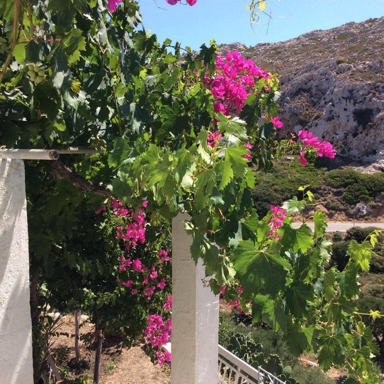 La Villa Di Zazopetra Menetaí エクステリア 写真
