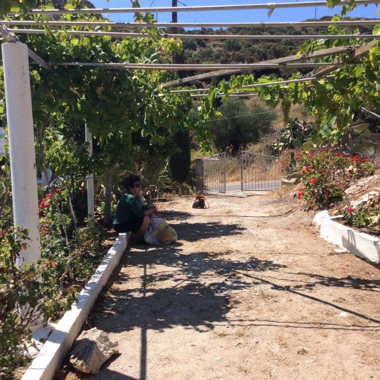 La Villa Di Zazopetra Menetaí エクステリア 写真
