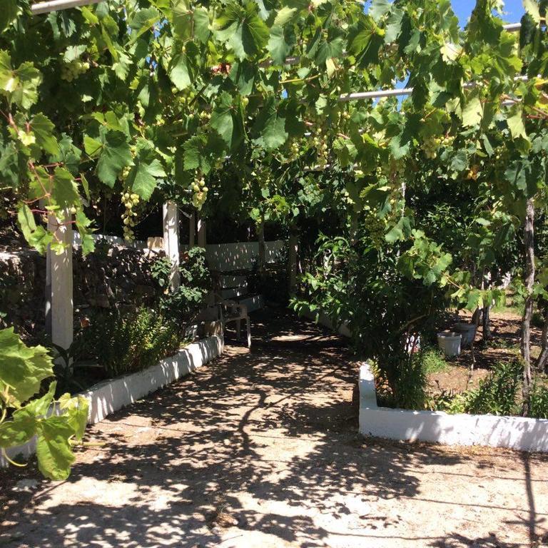 La Villa Di Zazopetra Menetaí エクステリア 写真