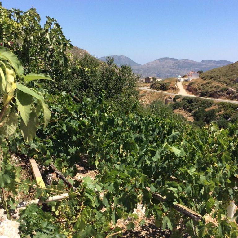 La Villa Di Zazopetra Menetaí エクステリア 写真